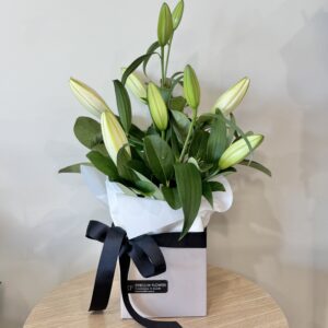 Flowers - The Harry
