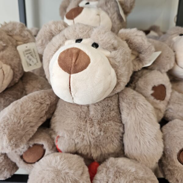 Baxter the bear