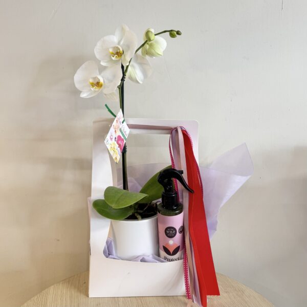 Orchid gift box