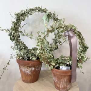 Plant - Ivy ring