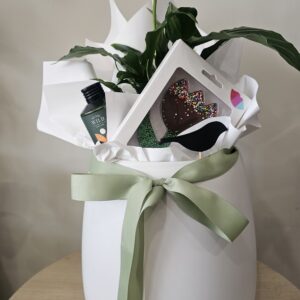 The Birdie plant hamper