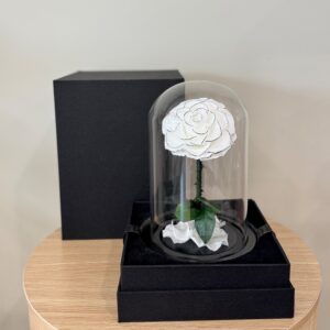 PRESERVED - THE LILLIAN